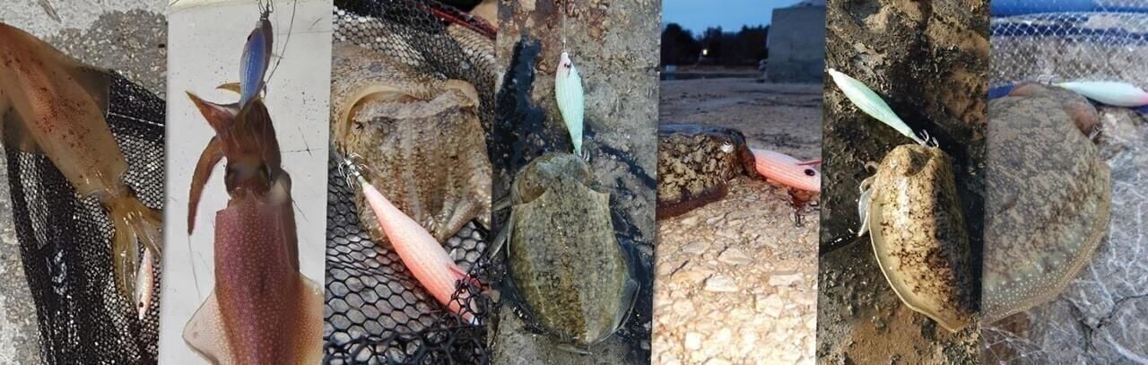 DTD Flash Color Glavoc 2.5 Sinking Speed 70 mm Kalamar Zokası