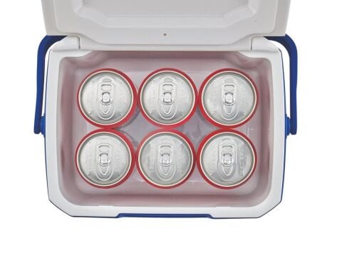 Coleman Performance Cooler 6 Personal 5 QT 4.7 Lt Buzluk