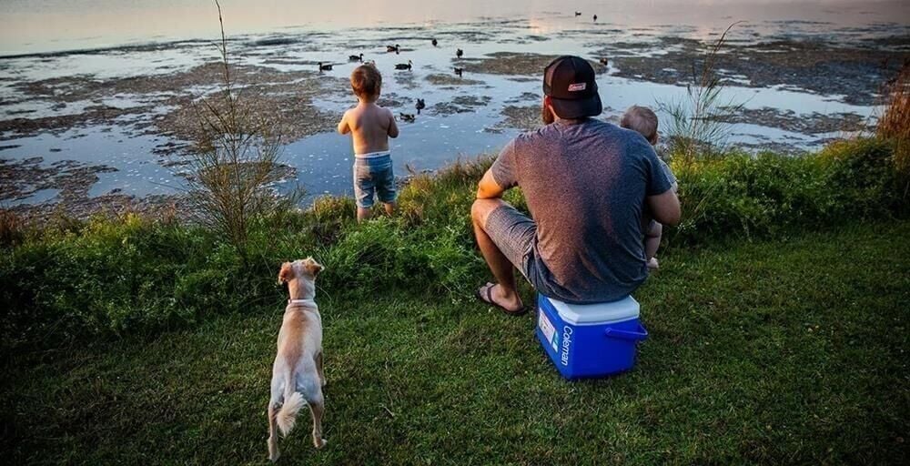 Coleman Performance Tri Color 16 QT Soğutucu Buzluk 15 Lt